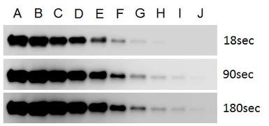 Trident plus Western HRP Subst
