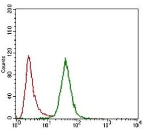 CD24 antibody [4F4E10]