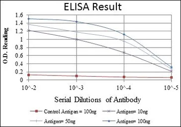 c-Kit antibody [1C5]