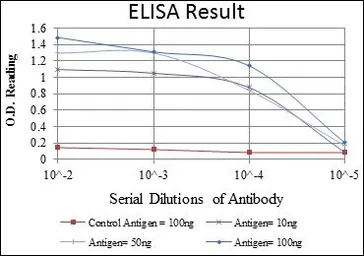 PSIP1 antibody [6E4]