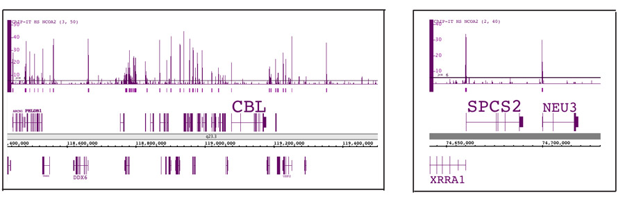 ChIP-Seq data for the low abundance target NCOA