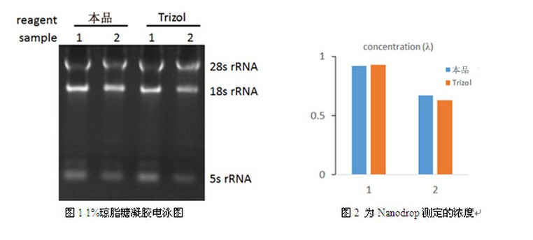总RNA提取试剂(同Trizol)价格厂家