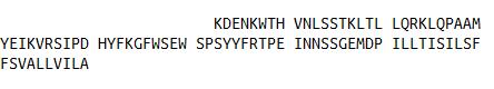 白介素7受体(IL7R)重组蛋白