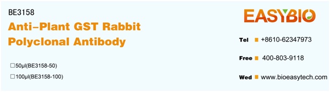 Plant GST Rabbit Polyclonal An