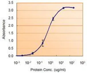 SOD1 antibody, Internal