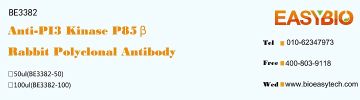PI3 Kinase P85β Rabbit Polyclo