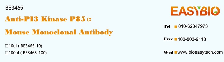 PI3 Kinase P85α Mouse Monoclon