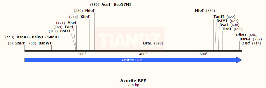 Azurite BFP(AzuriteBFP)