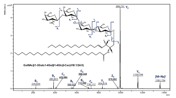 MALDI-TOF/TOF质谱鉴定
