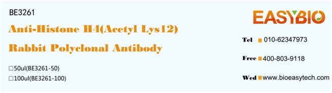 Histone H4(Acetyl Lys12) Rabbi