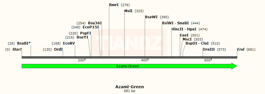 Azami-Green（AzamiGreen）