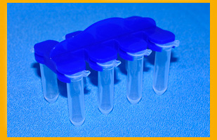 8联排 离心管防爆夹 EP管夹