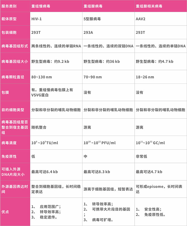 腺病毒包装公司