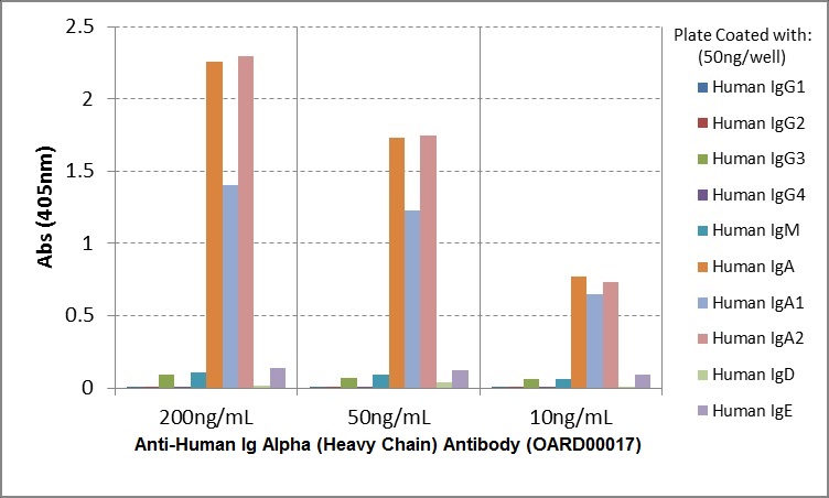 Anti-Human IgA (Heavy Chain) Antibody (OARD00017) in ELISA Specificity using ELISA