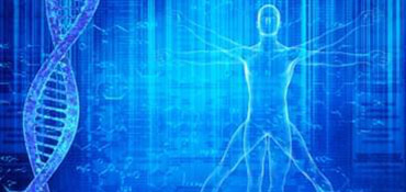 安必奇生物提供生物信息服务