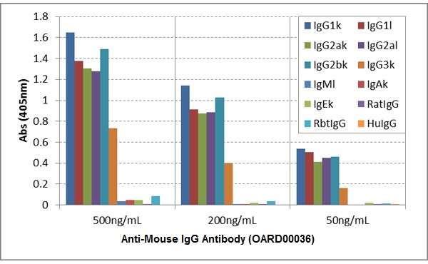 Anti-Mouse IgG Antibody (OARD00036) in ELISA Specificity using ELISA