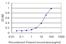 ORC4L Antibody (OAAL00228) in Recombinant GST tagged ORC4L using ELISA