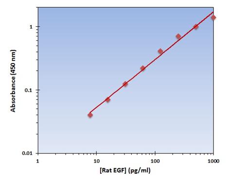 EGF ELISA Kit (Rat) (OKAG00103) Standard Curve