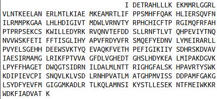 猫眼综合征染色体区候选基因1(CECR1)重组蛋白