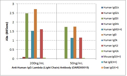 Anti-Human IgG Lambda (Light Chain) Antibody (OARD00015) in ELISA Specificity using ELISA