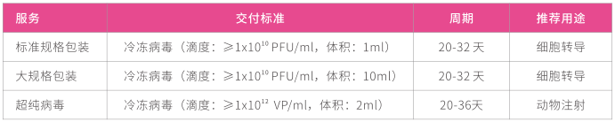 腺病毒包装技术服务