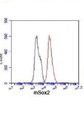 SOX2 Antibody (OAAB22145) in Mouse F9 Cells using Flow Cytometry