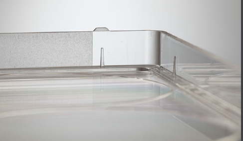 艾本德细胞培养