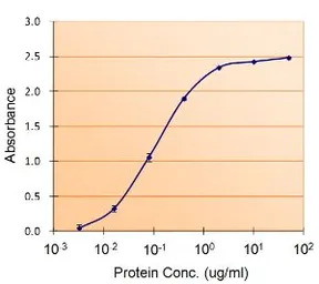 PAI-1 antibody, Internal
