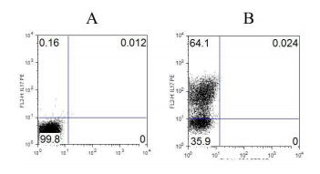 Anti-IL-17A (OASD00033) in Mouseplenocytes using Flow Cytometry