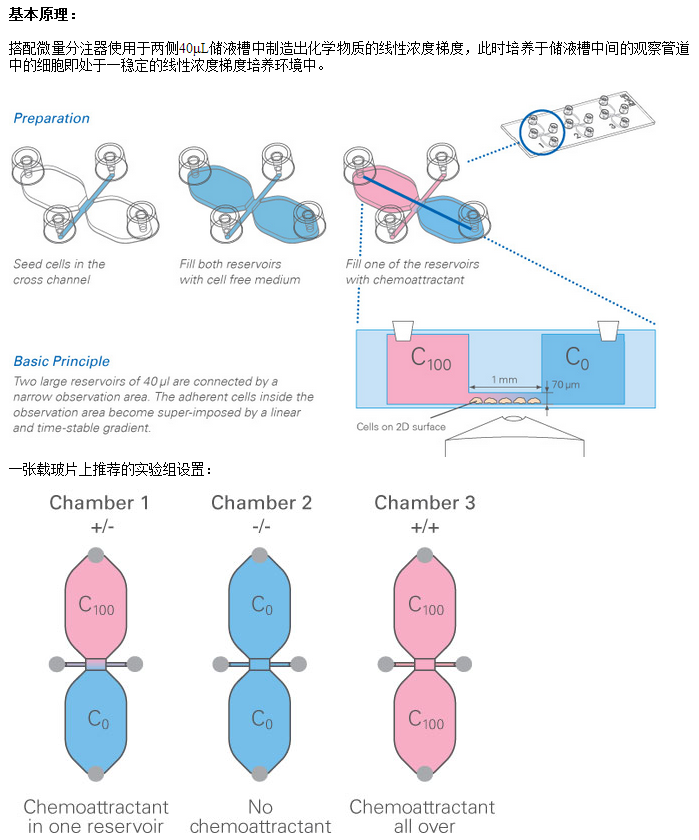 IBIDI易必迪µ-Slide 2D细胞趋化载玻片