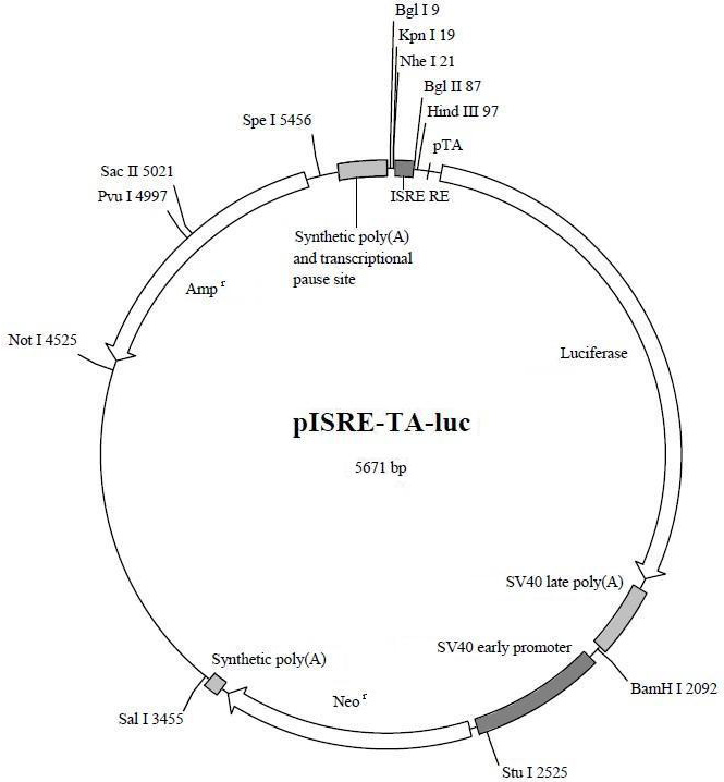 Caspase 9 活性检测试剂盒价格