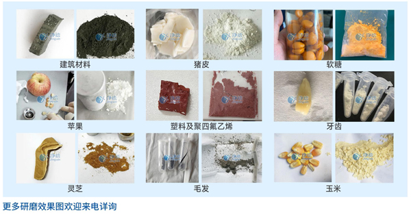 全自动液氮冷冻研磨机/液氮研磨仪