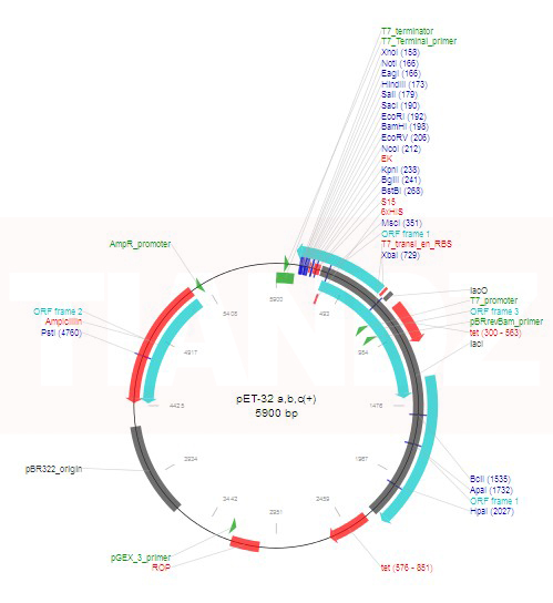 pET-32a(+)