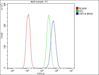 Cytokeratin 14/KRT14 Antibody 