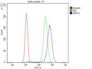 Cytokeratin 14/KRT14 Antibody 
