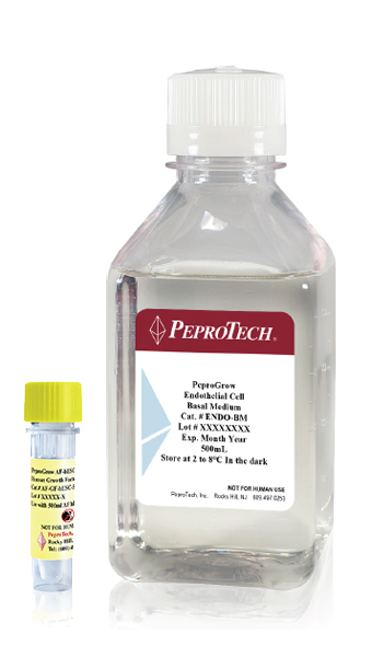 ES/iPS E8-like培养基