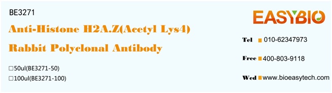 Histone H2A.Z(Acetyl Lys4) Rab
