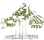 UbiScan Services Icon