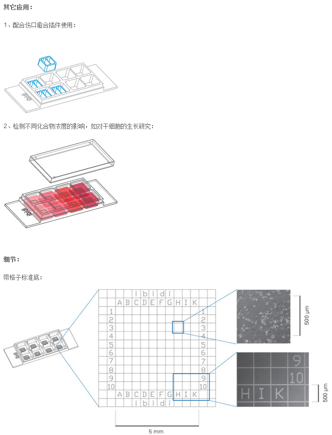 IBIDI易必迪µ-Slide 8孔腔室载玻片