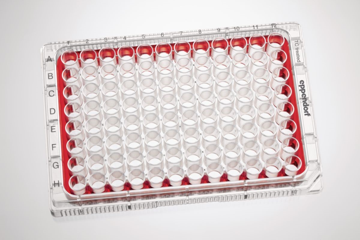 艾本德细胞培养