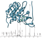 PhosphoScan Services Icon