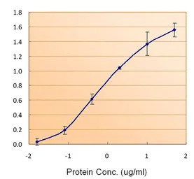 Ferritin Light Chain antibody,