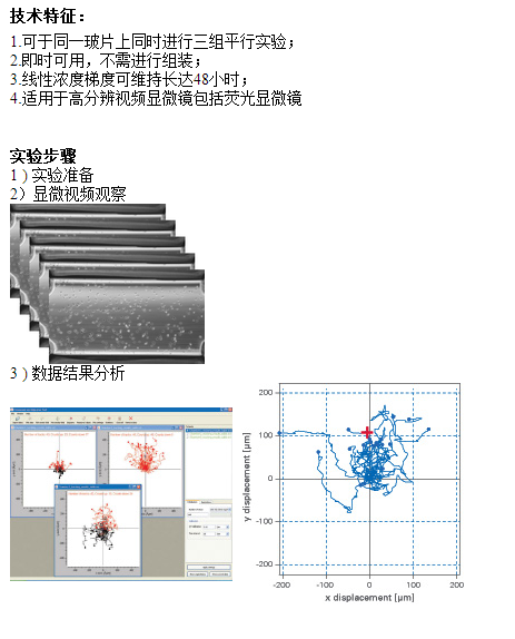 IBIDI易必迪µ-Slide 2D细胞趋化载玻片