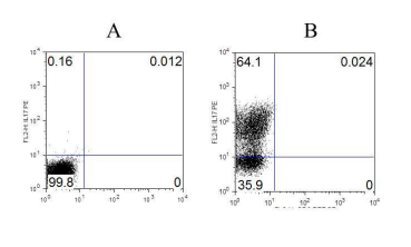 Anti-IL-17A (OASD00034) in Mouseplenocytes using Flow Cytometry