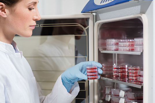 Eppendorf细胞培养皿