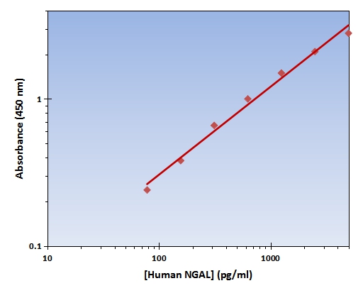 NGAL ELISA Kit (Human) (OKAG00234) Standard Curve