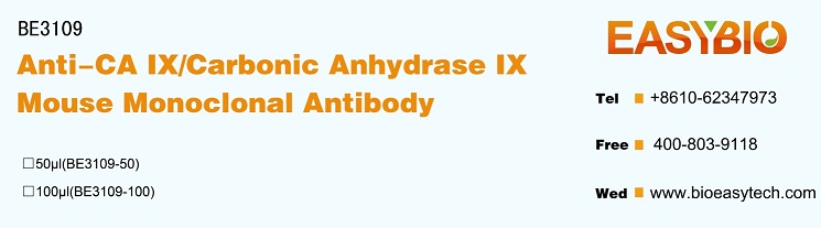 CA IX/Carbonic Anhydrase IX Mo
