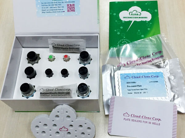 基质金属蛋白酶16(MMP16)检测试剂盒(酶联免疫吸附试验法)