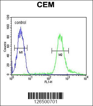 TSH2 Antibody (N-term) Affinity Purified Rabbit Polyclonal Antibody (0.1 mg) (OAAB02705) in CEM using Flow Cytometric