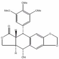 鬼臼毒素518-28-5